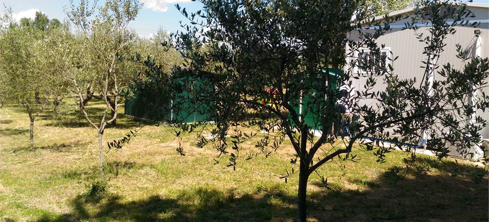 Foto annuncio