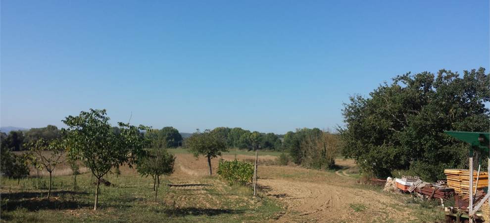 Foto annuncio