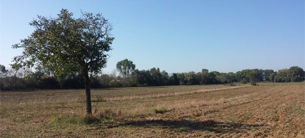 Foto annuncio
