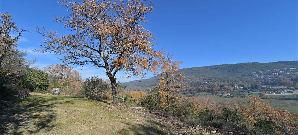 Foto annuncio