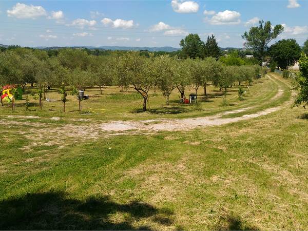Terreno Agricolo in vendita a Perugia