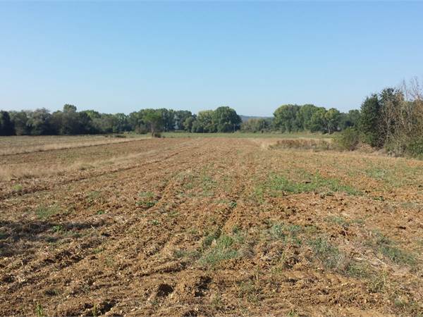 TERRENO AGRICOLO A SAN  MARIANO