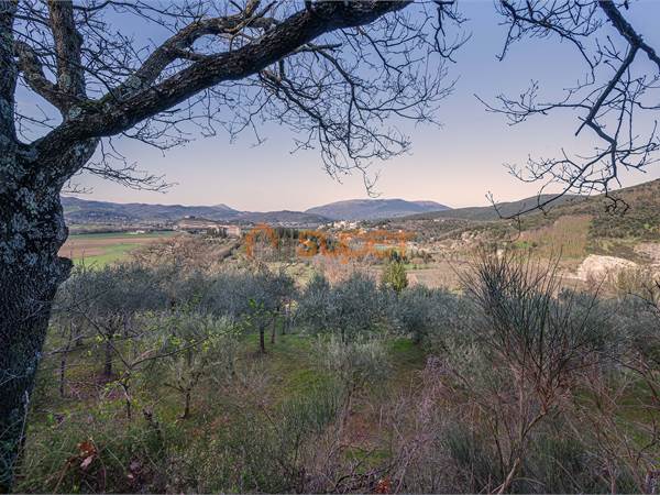 Terreno Agricolo in Vendita – Corciano 