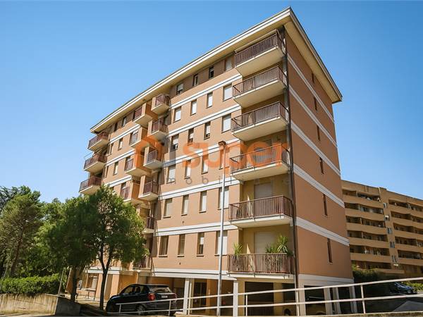 AMPIO APPARTAMENTO CON 3 CAMERE A FERRO DI CAVALLO
