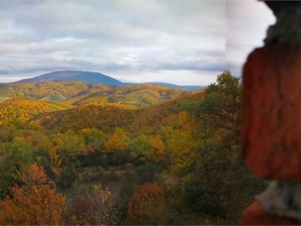 Terreno Agricolo in vendita a Umbertide