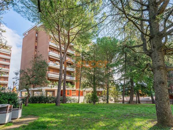 APPARTAMENTO QUATTRO CAMERE A MADONNA ALTA