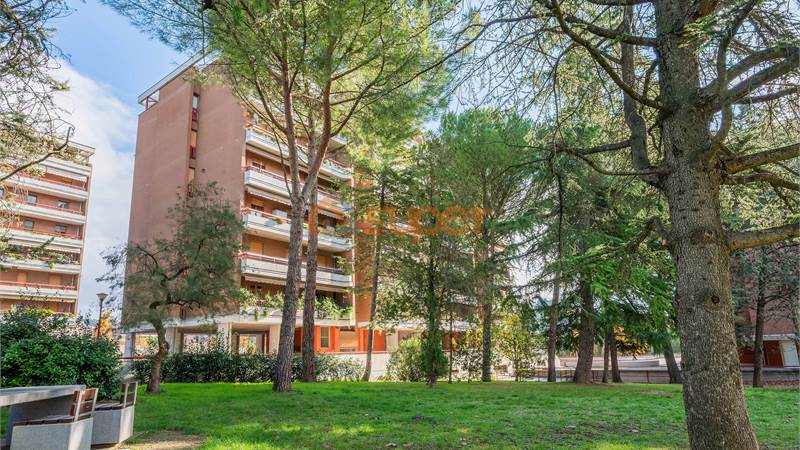 APPARTAMENTO QUATTRO CAMERE A MADONNA ALTA